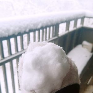 Meet your Posher, Vân